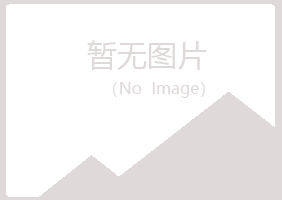 连山区罂粟邮政有限公司